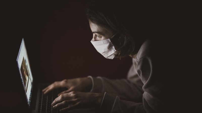 植物大战僵尸杂交版在线免费玩 塔防策略的底层逻辑：为什么杂交机制值得认真研究